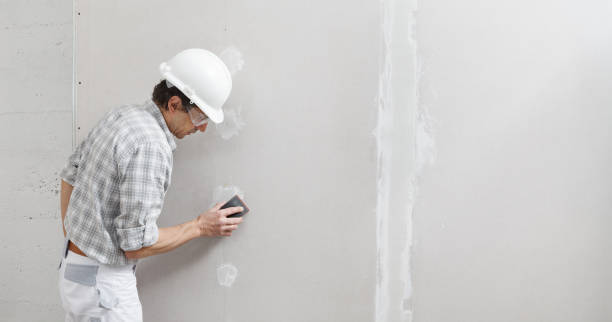 Best Drywall Texturing  in New Castle, DE